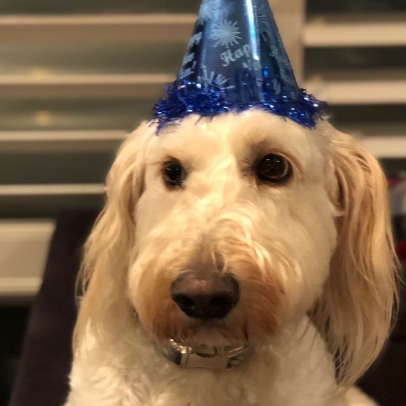 Meet your Posher, Maryann - Picture 1 of 1